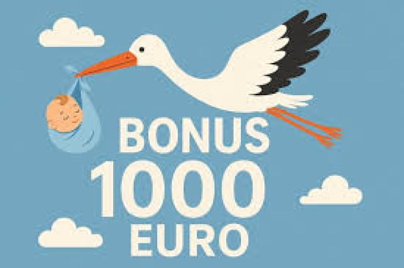 Bonus Nuovi Nati 2026: Al via le domande! Ecco come ottenere i 1.000 euro